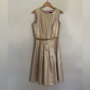 Tommy Hilfiger NWOT Gold Metallic Shimmer Belted Pleated Dress Size 4